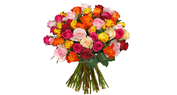 44 bunte Rosen BlumeIdeal
