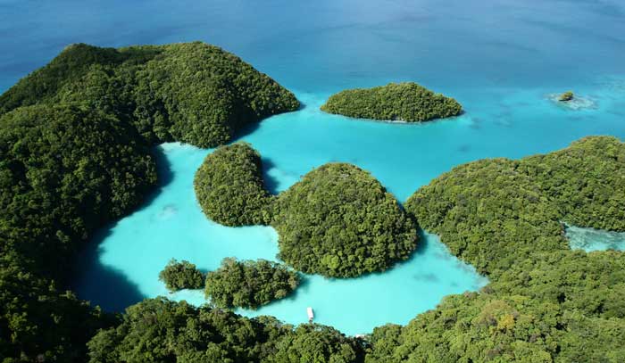 Hin- und Rückflug nach Palau