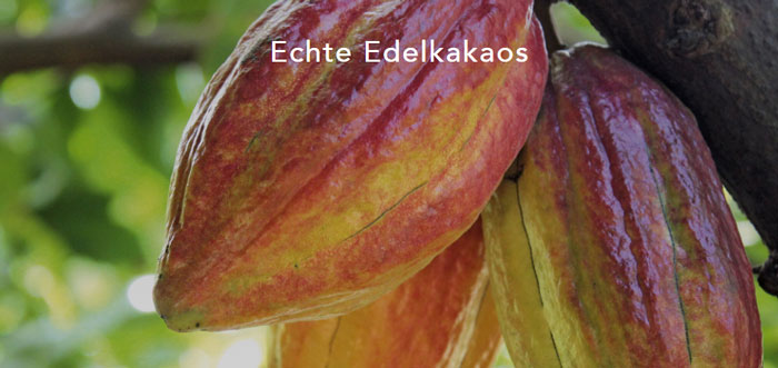 Rausch Edelkakaos