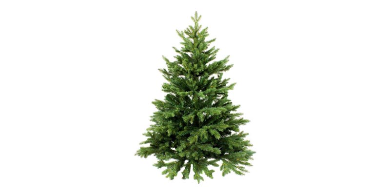 Weihnachtsbaum online bestellen
