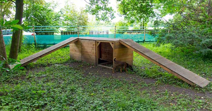 Hundespielplatz Köln