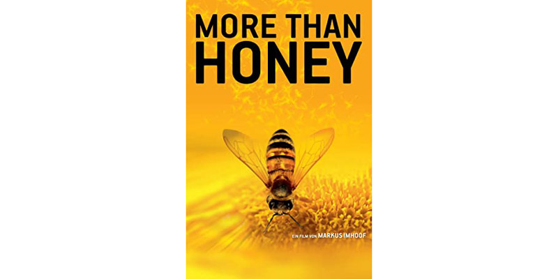 Doku "More than Honey"