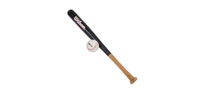 Wilson Little League Baseball Set