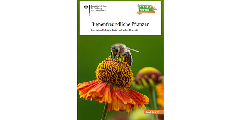 Kostenloses Lexikon Bienenfreundliche Pflanzen