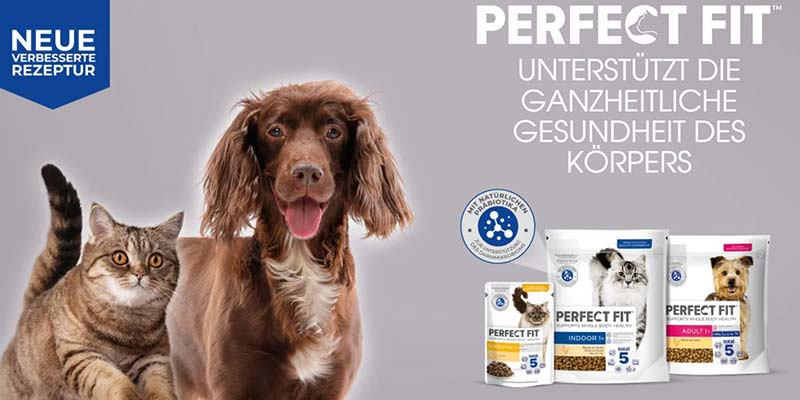 Perfect Fit Cashback Aktion