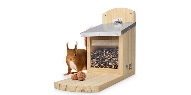 Wildlife Friend Eichhörnchen Futterhaus Maxi