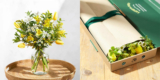 15€ Bloom & Wild Gutschein: z.B. Ellen Kreativ-Box für 10€ inkl. Versand
