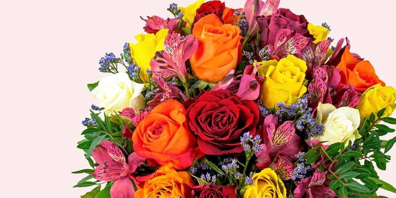 12% BlumeIdeal Gutschein – z.B. zum Muttertag Blumen verschenken