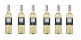 6x Flaschen Calle Principal Sauvignon Blanc 2023 für 28,14€ inkl. Versand