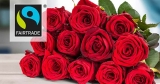 12x Fairtrade Rosen (rot, rosa oder gelb-orange) für 15,73€ – Perfekt für Valentinstag