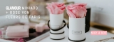 Glamour Miniabo: 3 Ausgaben + Fleurs de Paris (konservierte Rose) für 5,90€