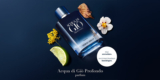 Gratis Parfumprobe: Acqua di Giò Profondo Parfum kostenlos testen