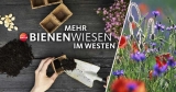 Gratis Samentütchen gegen das Bienensterben von WDR2
