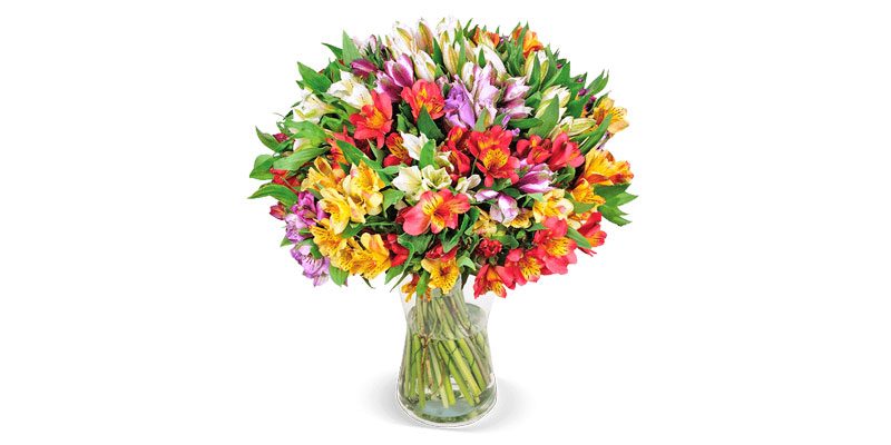 40 Inkalilien (bis zu 300 Blüten) als Blumenstrauß für 25,98€