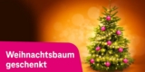Kostenloser Weihnachtsbaum zum Abholen bei OBI für Telekom Kunden (Magenta Moments)