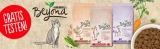 Purina Beyond Katzenfutter gratis testen – Cashback Aktion