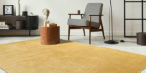 the carpet Kurzflor Teppich (200 x 280 cm) für 43,94€